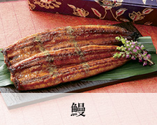 鰻