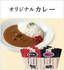 オリジナルカレー