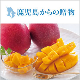 鹿児島からの贈りもの